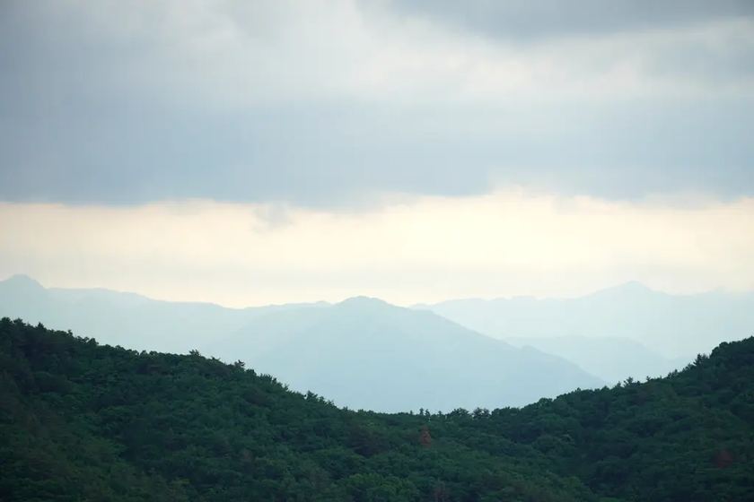 山々に囲まれた産地の風景