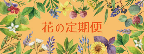 日本総合園芸「花の定期便」