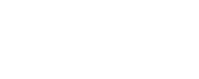 今が旬。甘味抜群の奈良・飯塚さんのブロッコリー