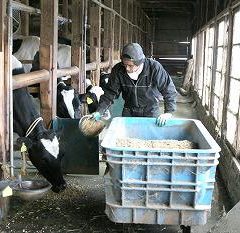 有用菌を生かす牛乳を作る西井牧場
