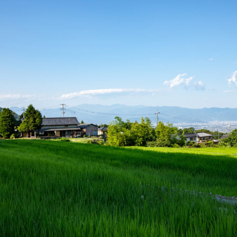 太郎社長が8月10日（木）奈良新聞の朝刊で紹介されました