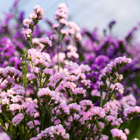 太郎社長が8月10日（木）奈良新聞の朝刊で紹介されました