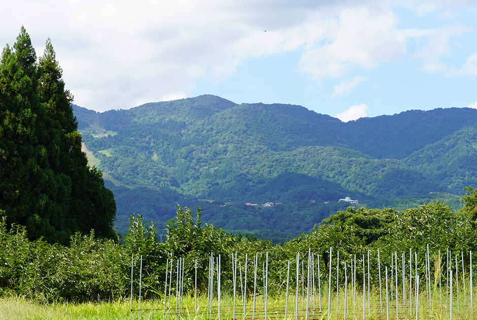 富山県 日鷲農園 に行ってきました
