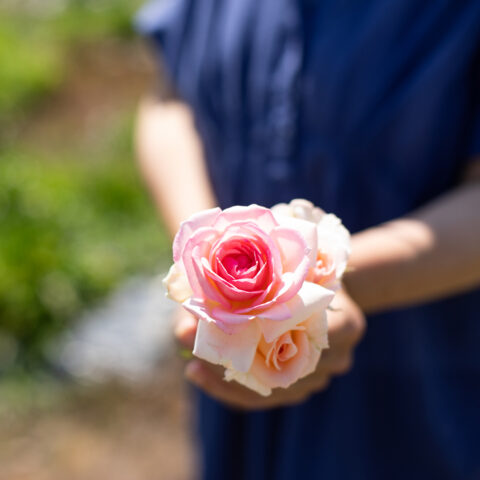 太郎社長が8月10日（木）奈良新聞の朝刊で紹介されました