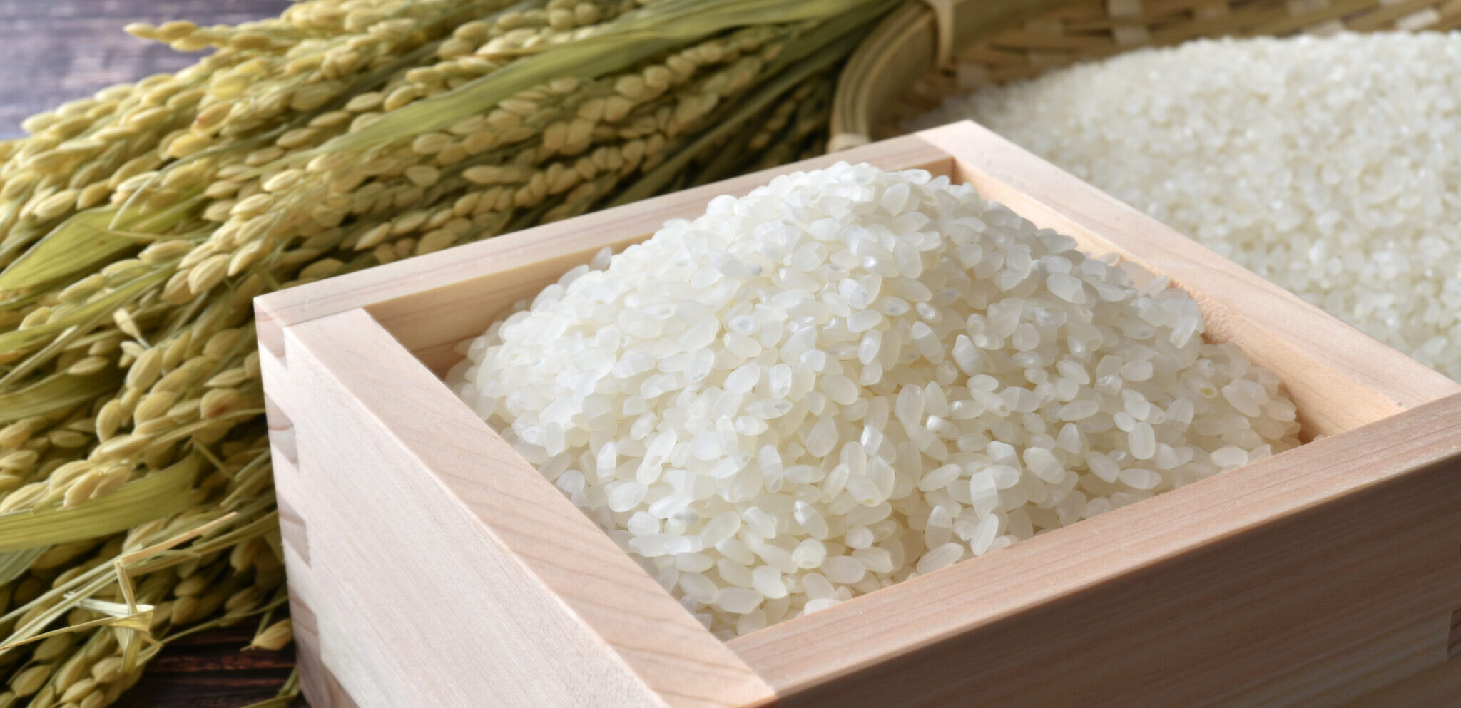 玄米 10kg 自然栽培 朝日米 令和6年産 送料無料 おかやま自然