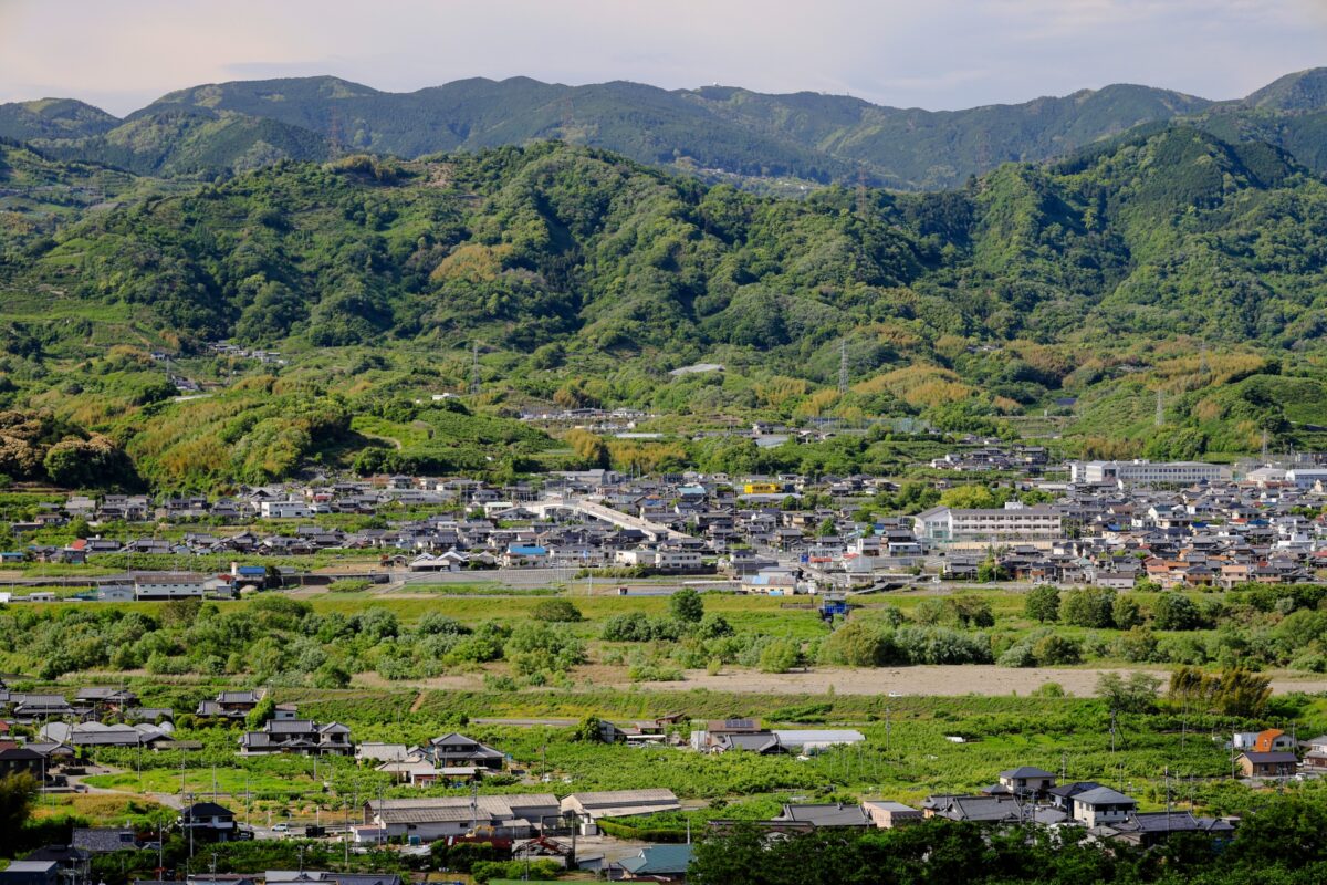 和歌山ポークTONTON 豚角切り