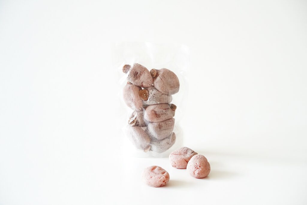 (干し柿)市田柿