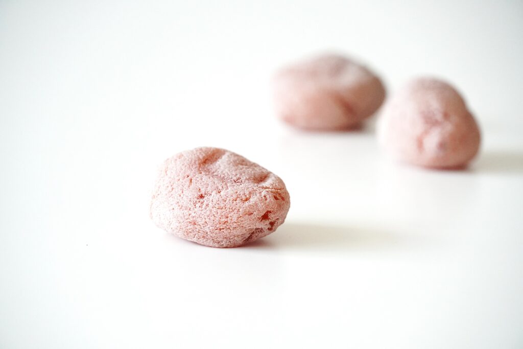 (干し柿)市田柿