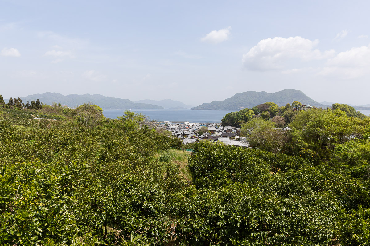 神宿る島のレモン果汁  ※化学肥料・化学農薬不使用