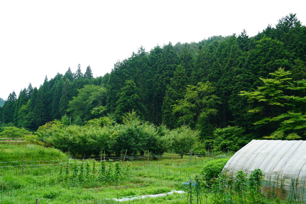 【海抜580ｍ】 恵那の山奥から手仕事光る燻製