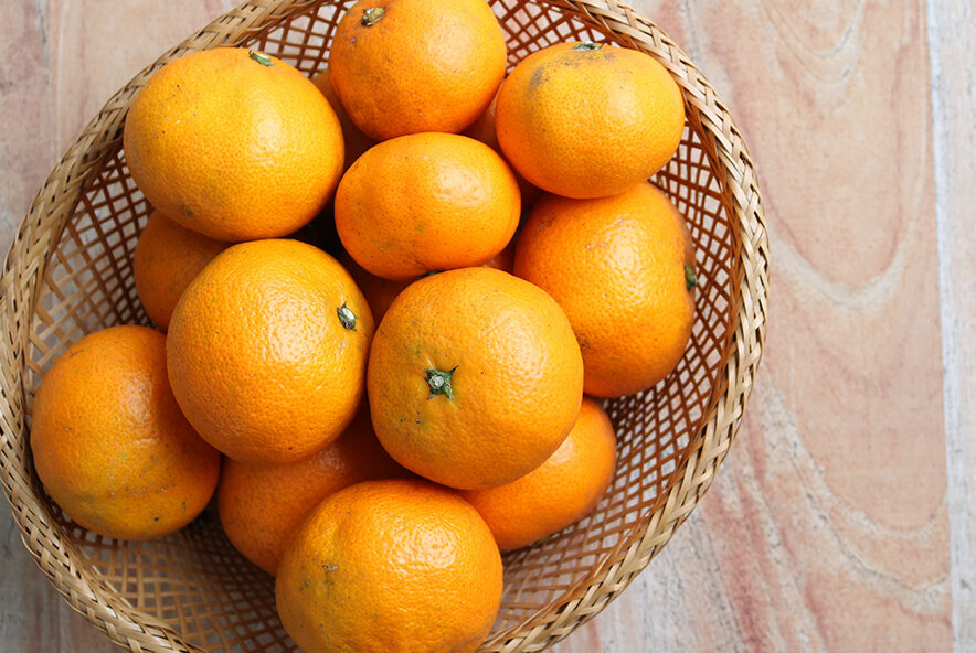 有機 温州みかん