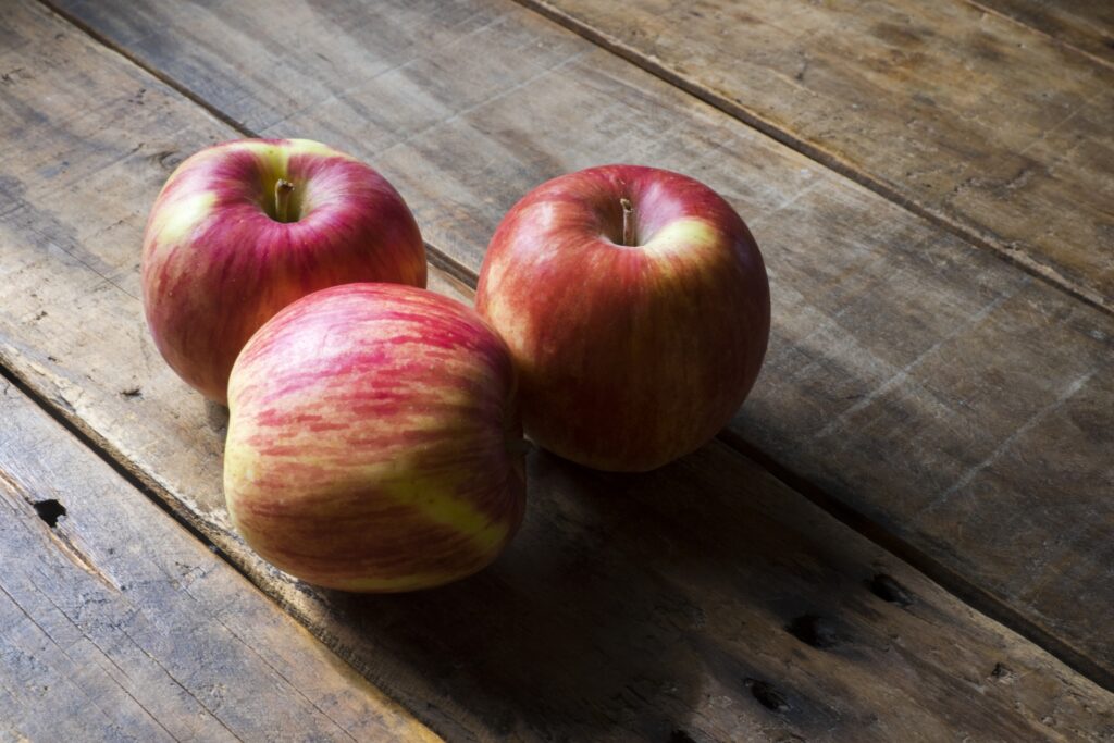 【標高823m】南信州から胸がいっぱいになる りんご“ふじ小玉” -さんさんファーム-