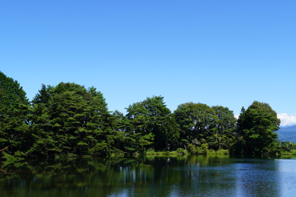 【標高823m】南信州から胸がいっぱいになる りんご“ふじ小玉” -さんさんファーム-