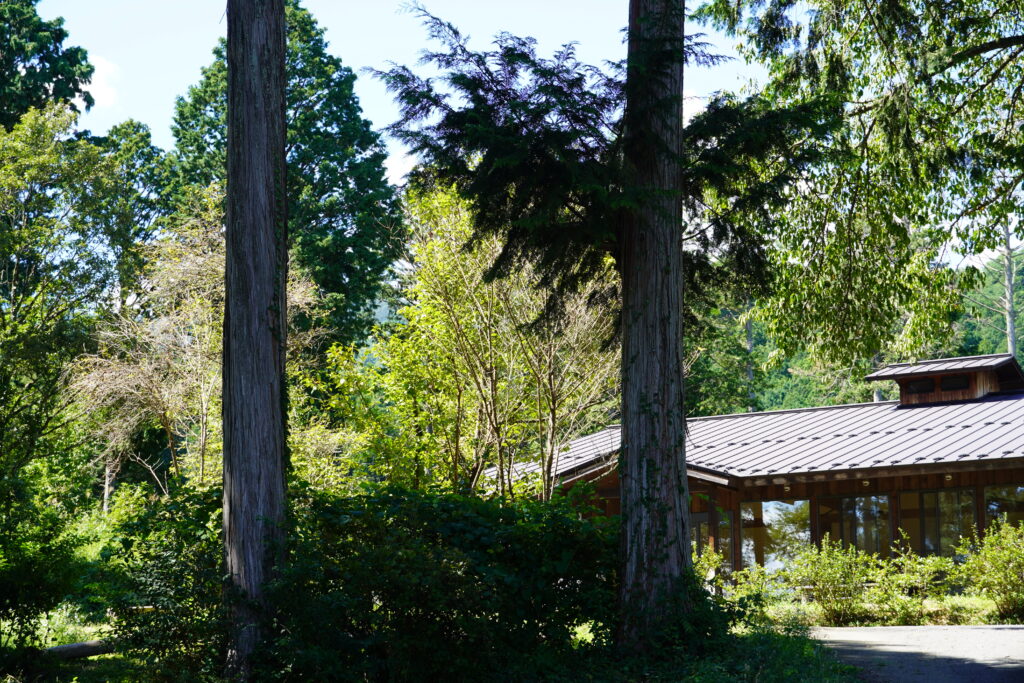 【標高823m】南信州から胸がいっぱいになる りんご“ふじ小玉” -さんさんファーム-