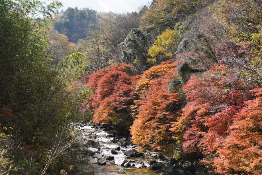 【海抜580ｍ】 恵那の山奥から手仕事光る燻製