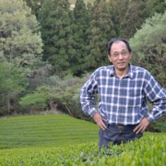 煎茶 あさつゆ