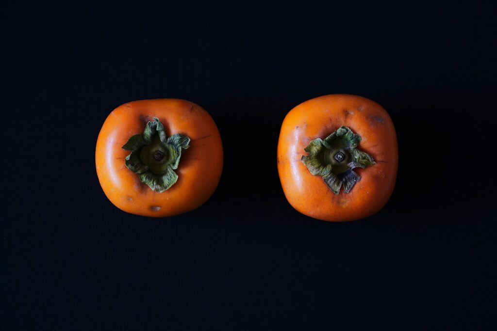 【海抜55m】希少な有機栽培の庄内柿・あんぽ柿