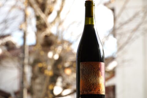 マヤカミ【2024】(ラ・グランド・コリーヌ・ジャポン)