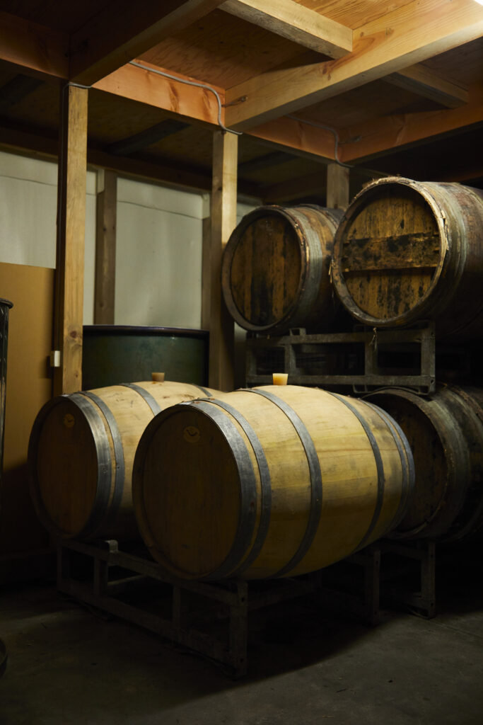 小公子 S 【2024】（ラ・グランド・コリーヌ・ジャポン）