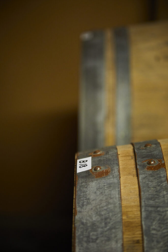 小公子 S 【2024】（ラ・グランド・コリーヌ・ジャポン）