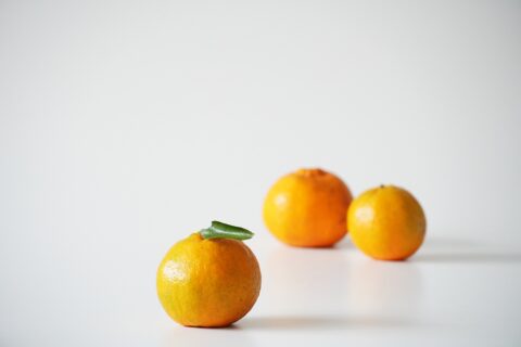 【海抜71m】本土最南端の森の恵み “ぽんかん”