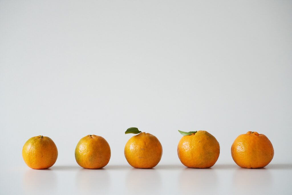 【海抜71m】本土最南端の森の恵み “ぽんかん”