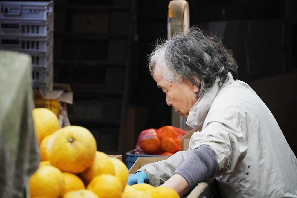 【海抜38ｍ】自然農法の祖が宿る哲学と “温州蜜柑”