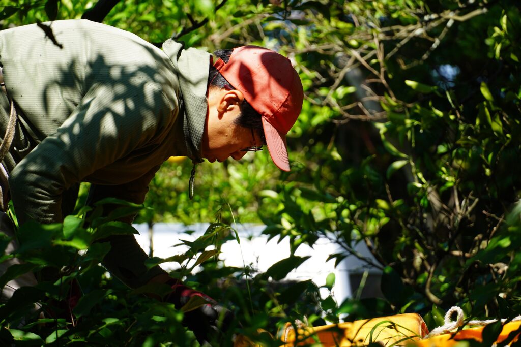 【海抜38ｍ】自然農法の祖が宿る哲学と “温州蜜柑”