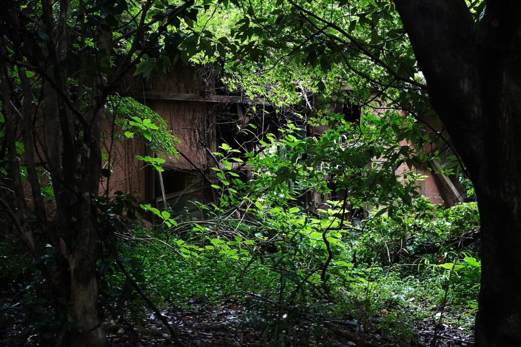 【海抜38ｍ】自然農法の祖が宿る哲学と “温州蜜柑”