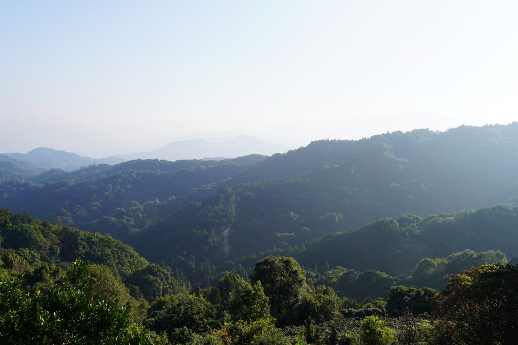 【海抜38ｍ】自然農法の祖が宿る哲学と “温州蜜柑”