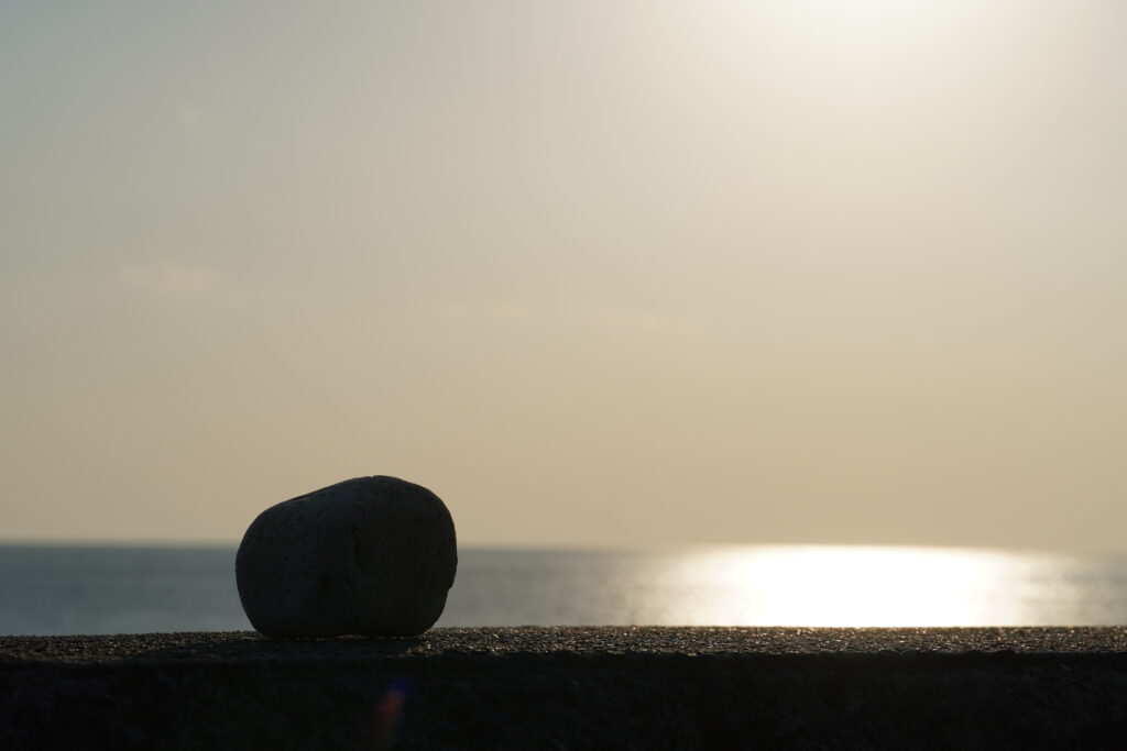 【海抜71m】本土最南端の森が奏でる “八朔(はっさく)”