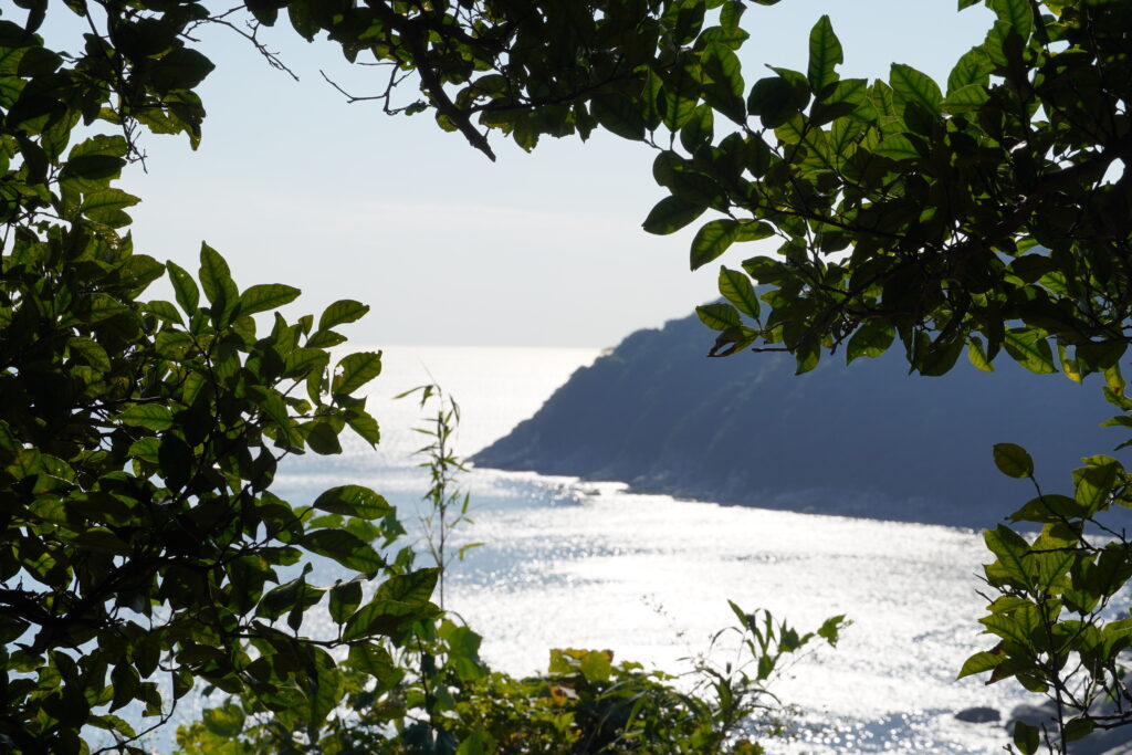 【海抜71ｍ】本土最南端の秘境に宿る いにしへの辺塚だいだい