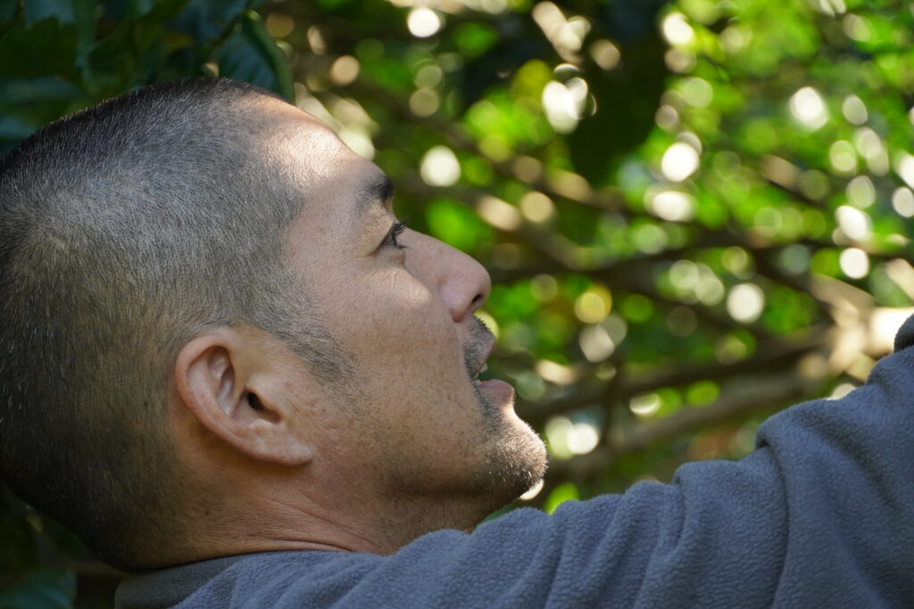 【海抜71m】本土最南端の森が奏でる “八朔(はっさく)”