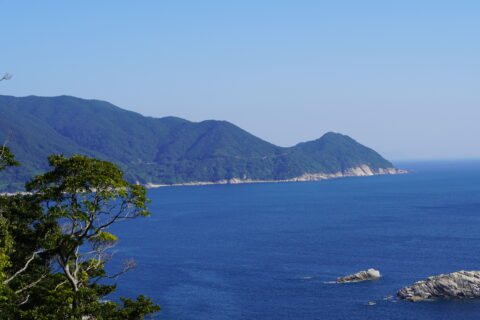 【海抜71m】本土最南端の森が奏でる  “八朔（はっさく）”