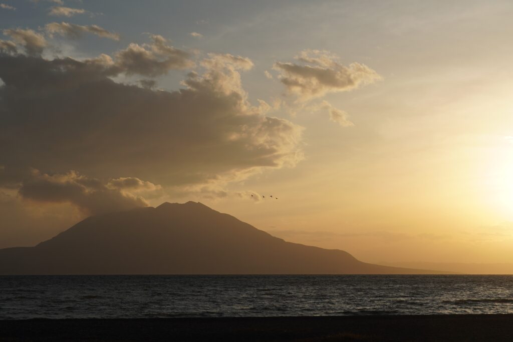 【海抜71ｍ】本土最南端の秘境に宿る いにしへの辺塚だいだい