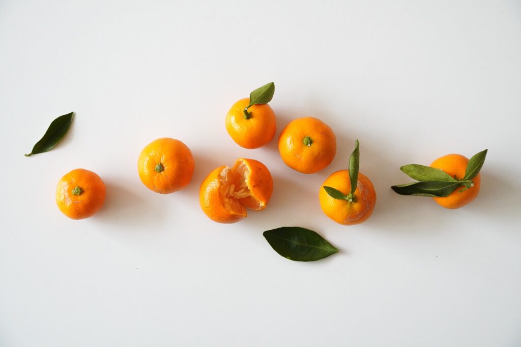 【海抜38ｍ】自然農法の祖が宿る哲学と “温州蜜柑”