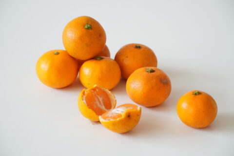 【海抜38ｍ】自然農法の祖が宿る哲学と “温州蜜柑”