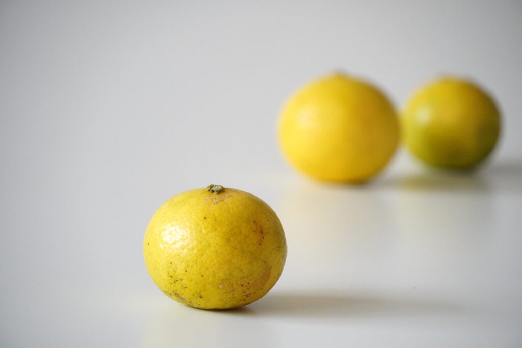 【海抜71m】本土最南端の秘境に宿る いにしへの辺塚だいだい