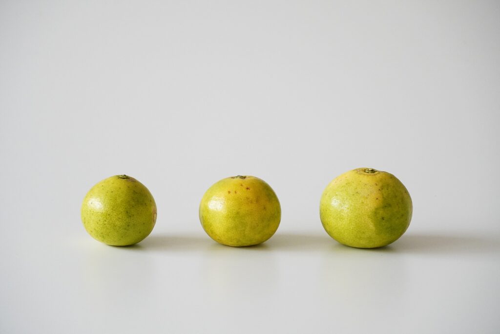 【海抜71ｍ】本土最南端の秘境に宿る いにしへの辺塚だいだい