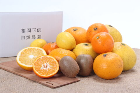 【海抜38ｍ】自然農法の祖が宿る哲学 “果物おまかせMIX”