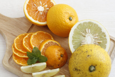 福岡正信自然農園 【迎春特別企画】果物おまかせ福袋