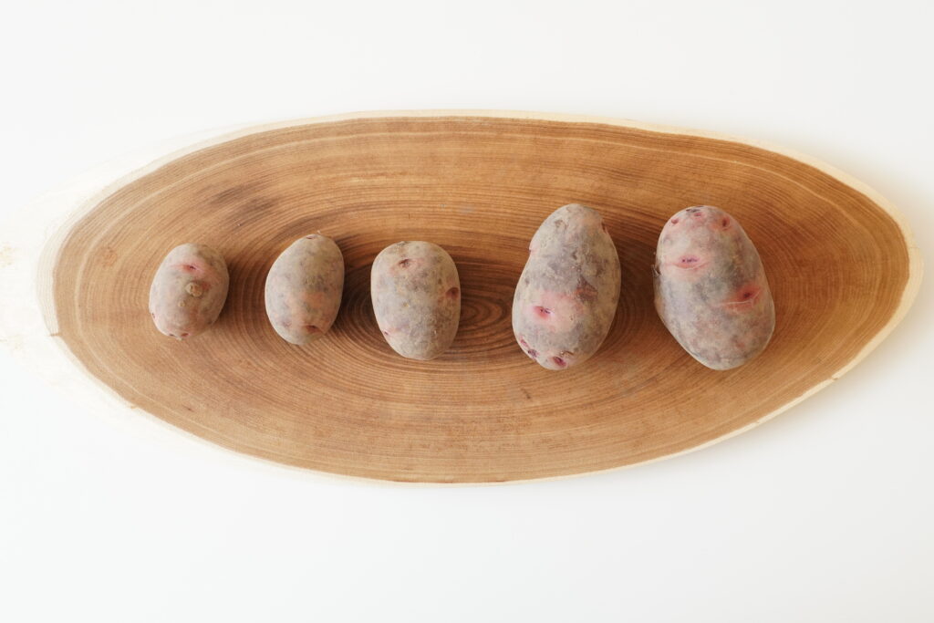 希少品種“じゃがいも”