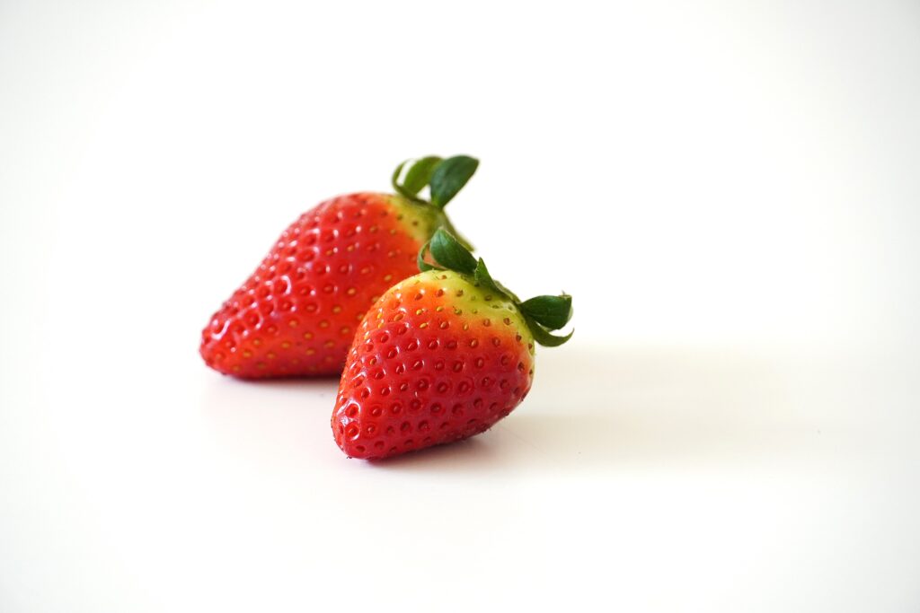 【海抜12ｍ】上村さんの希少な有機いちごと夢街道