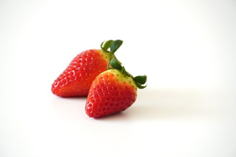 【海抜12ｍ】上村さんの希少な有機いちごと夢街道