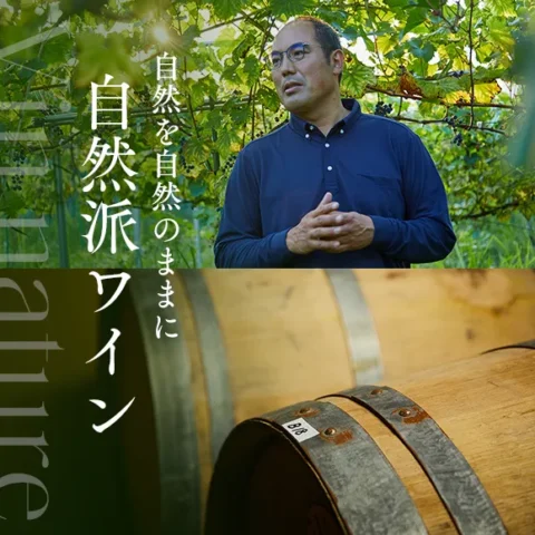 しそわかめふりかけ ※賞味期限4月26日