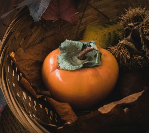 【海抜360m】古都奈良、こだわりの刀根柿