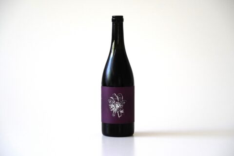 紫陽花2024(GRAPE SHIP)