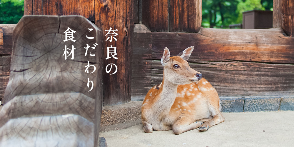 さん・らいふ