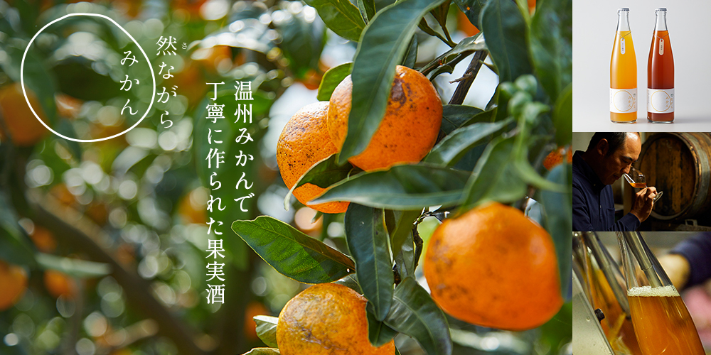 さん・らいふ