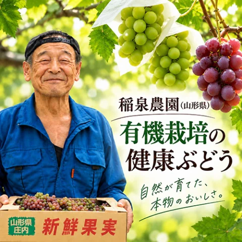 さん・らいふ
